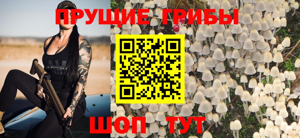 Галлюциногенные грибы GOLDEN TEACHER Санкт-Петербург