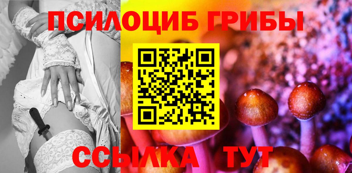 Псилоцибиновые грибы GOLDEN TEACHER  Псилоцибиновые грибы Psilocybine cubensis  Вход с VPN  Санкт-Петербург 