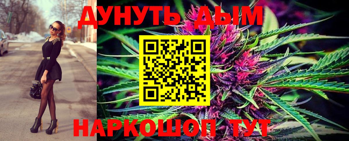 Каннабис сатива  Конопля сатива  Санкт-Петербург  Вход с VPN 